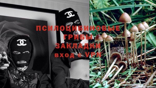 прущий лед Тайга