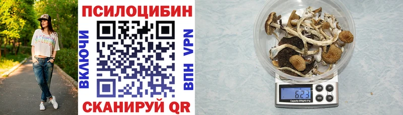 Псилоцибиновые грибы GOLDEN TEACHER Богородск